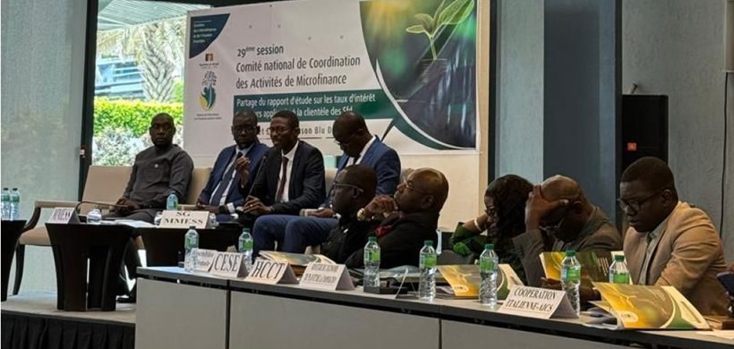 29e session du Comité national de coordination des activités de microfinance